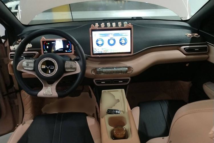 Used BYD Seagull 2025 305 km Free Version Center Console