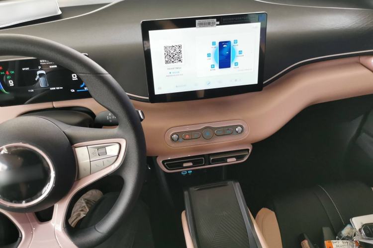 Used BYD Seagull 2025 Intelligent Driving Version 305 km Dynamic Edition Center Console