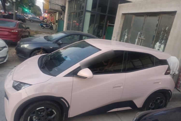 Used BYD Seagull 2025 305 km Free Version Exterior 5
