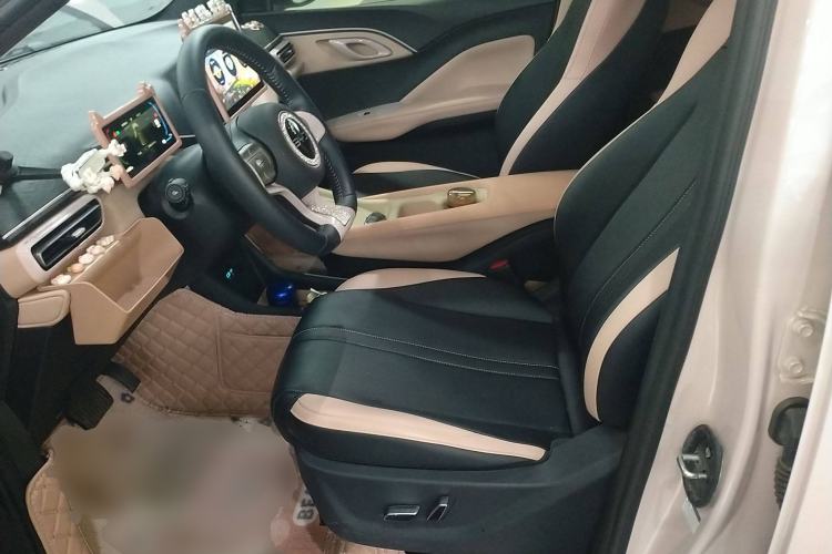 Used BYD Seagull 2025 305 km Free Version Left Front Seat
