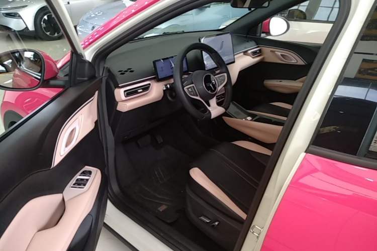 Used BYD Seagull 2025 Smart Drive Version 305 km Freedom Edition Left Front Seat