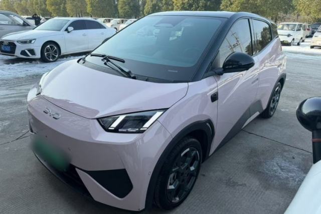Used BYD Seagull 2025 Smart Drive Version 305 km Freedom Edition