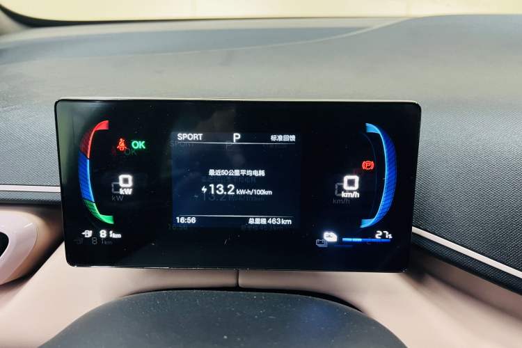 Used BYD Seagull 2025 305 km Free Version Odometer Close Up