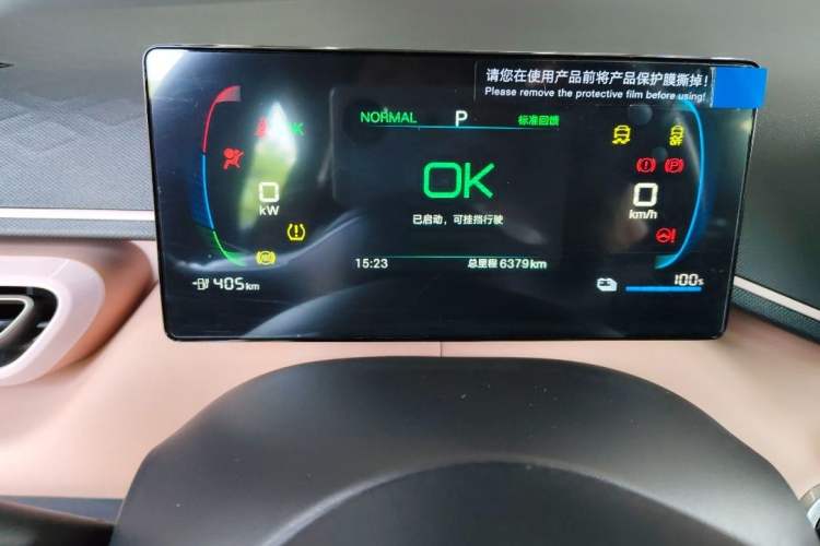 Used BYD Seagull 2025 405 km Flying Edition Odometer Close Up