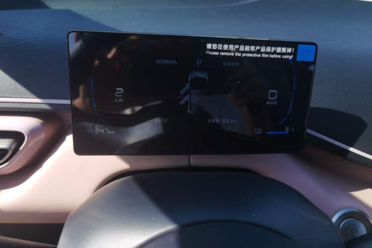 Used BYD Seagull 2025 305km Active Version Odometer Close Up
