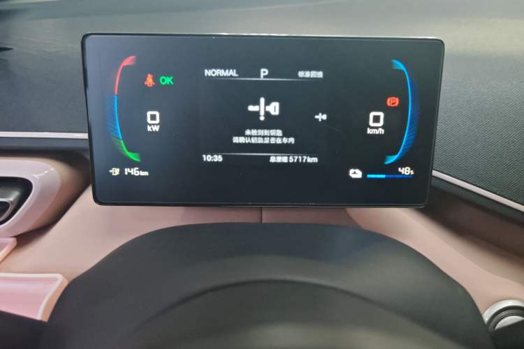 Used BYD Seagull 2025 305 km Free Version Odometer Close Up