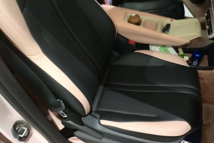 Used BYD Seagull 2025 305 km Free Version Right Front Seat