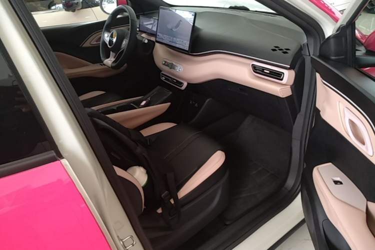 Used BYD Seagull 2025 Smart Drive Version 305 km Freedom Edition Right Front Seat