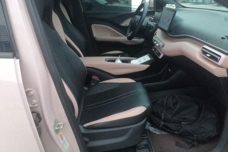 Used BYD Seagull 2025 405 km Flying Edition Right Front Seat