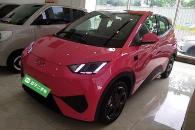 Used BYD Seagull 2025 Smart Drive Version 305 km Freedom Edition