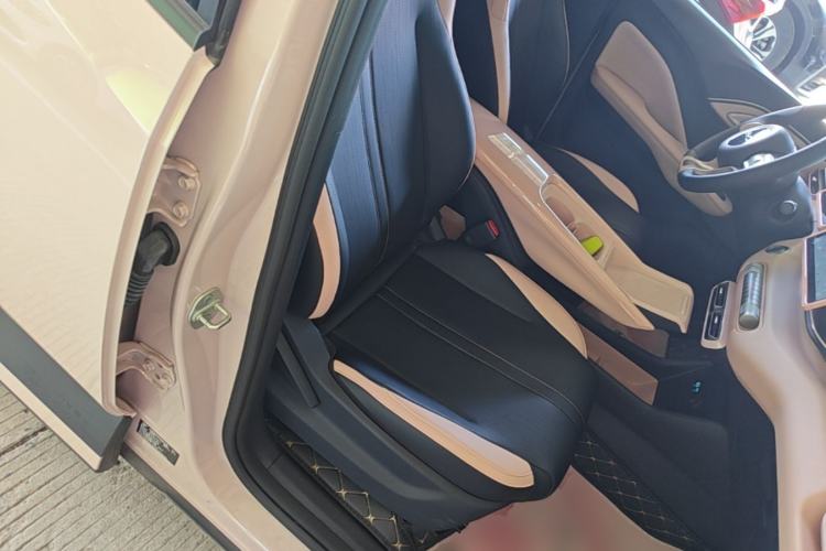 Used BYD Seagull 2025 305 km Free Version Right Front Seat
