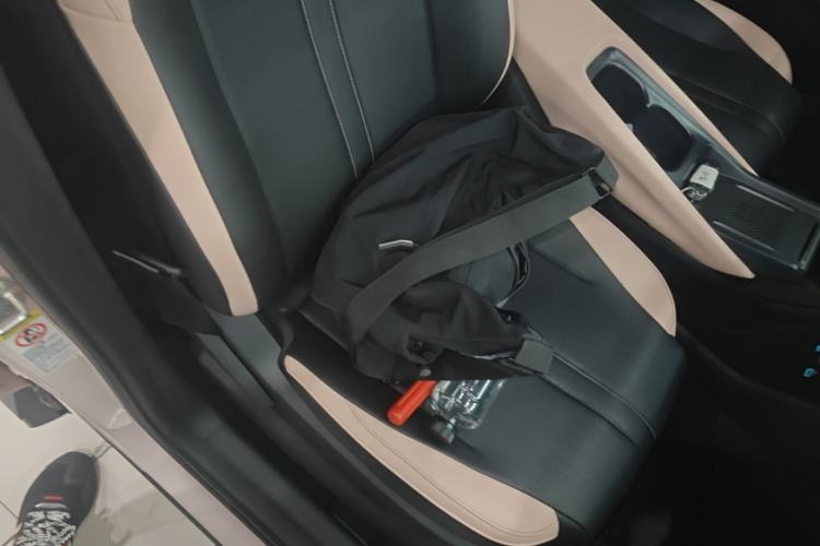 Used BYD Seagull 2025 Smart Drive Version 305 km Freedom Edition Right Front Seat