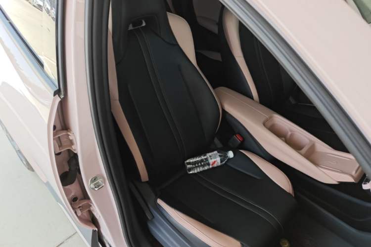 Used BYD Seagull 2025 305 km Free Version Right Front Seat