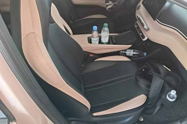 Used BYD Seagull 2025 305 km Free Version Right Front Seat