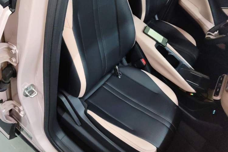 Used BYD Seagull 2025 305 km Free Version Right Front Seat