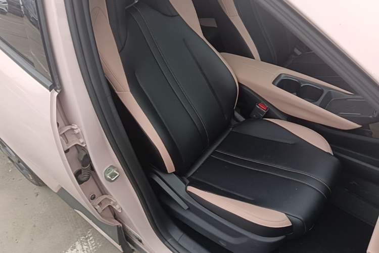 Used BYD Seagull 2025 305 km Free Version Right Front Seat