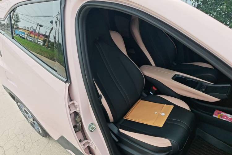 Used BYD Seagull 2025 305 km Free Version Right Front Seat
