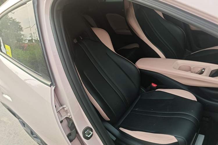 Used BYD Seagull 2025 Intelligent Driving Version 305 km Dynamic Edition Right Front Seat