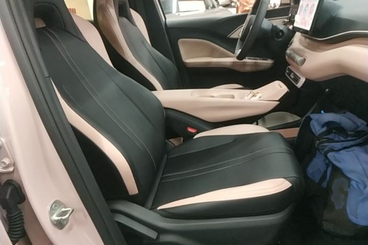 Used BYD Seagull 2025 305km Active Version Right Front Seat