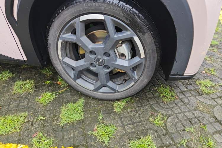 Used BYD Seagull 2025 305 km Free Version Right Front Wheel Hub
