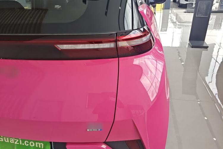 Used BYD Seagull 2025 Smart Drive Version 305 km Freedom Edition Right Rear Taillight