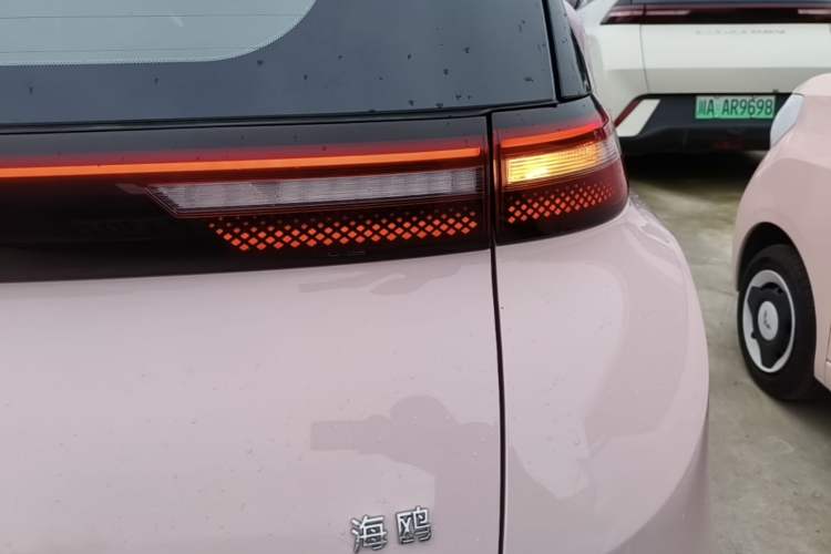 Used BYD Seagull 2025 Smart Drive Version 305 km Freedom Edition Right Rear Taillight