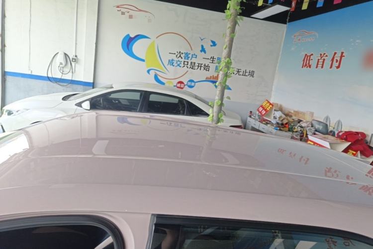 Used BYD Seagull 2025 Smart Drive Version 305 km Freedom Edition Roof
