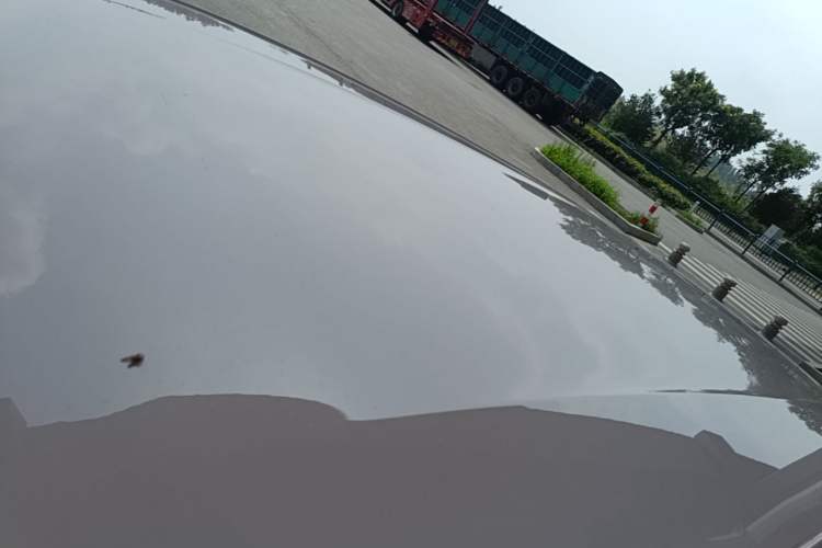 Used BYD Seagull 2025 305 km Free Version Roof
