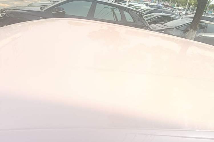 Used BYD Seagull 2025 Intelligent Driving Version 305 km Dynamic Edition Roof
