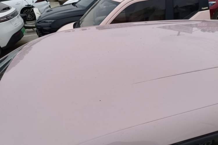 Used BYD Seagull 2025 Smart Drive Version 305 km Freedom Edition Roof