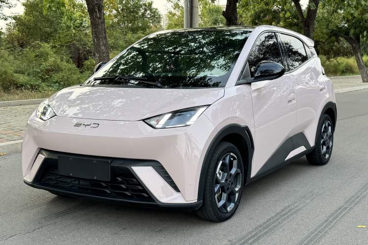 BYD Seagull 2025 305 km Free Version