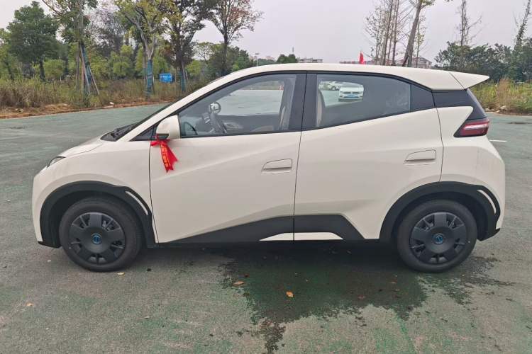 Used BYD Seagull 2025 Intelligent Driving Version 305 km Dynamic Edition Exterior 1