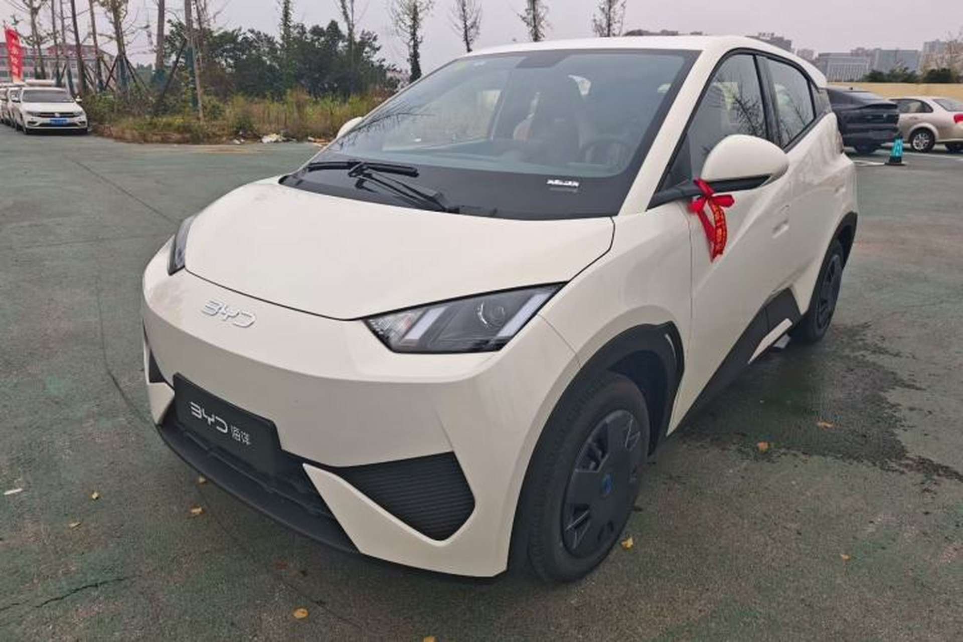 Used BYD Seagull 2025 Intelligent Driving Version 305 km Dynamic Edition Exterior 3