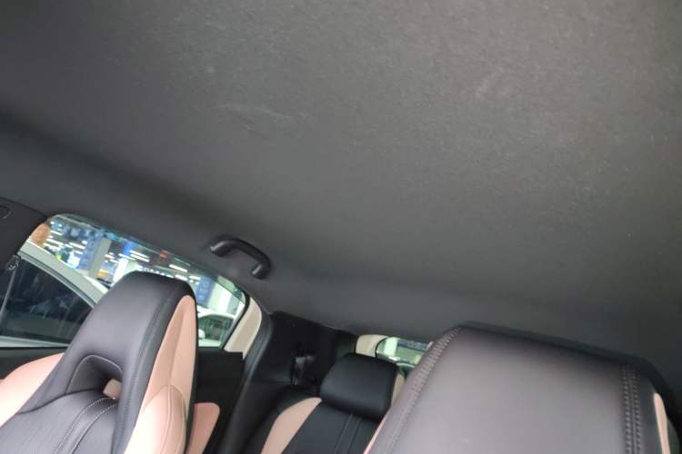 Used BYD Seagull 2025 Intelligent Driving Version 305 km Dynamic Edition Headliner