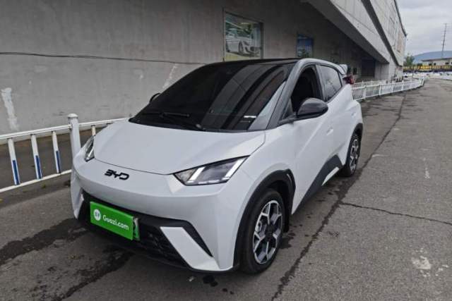 Used BYD Seagull 2025 305 km Free Version