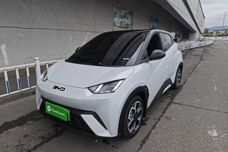 Used BYD Seagull 2025 305 km Free Version Guazi used car, China used car export, Used car for sale, Used cars, Cheapest cars for sale