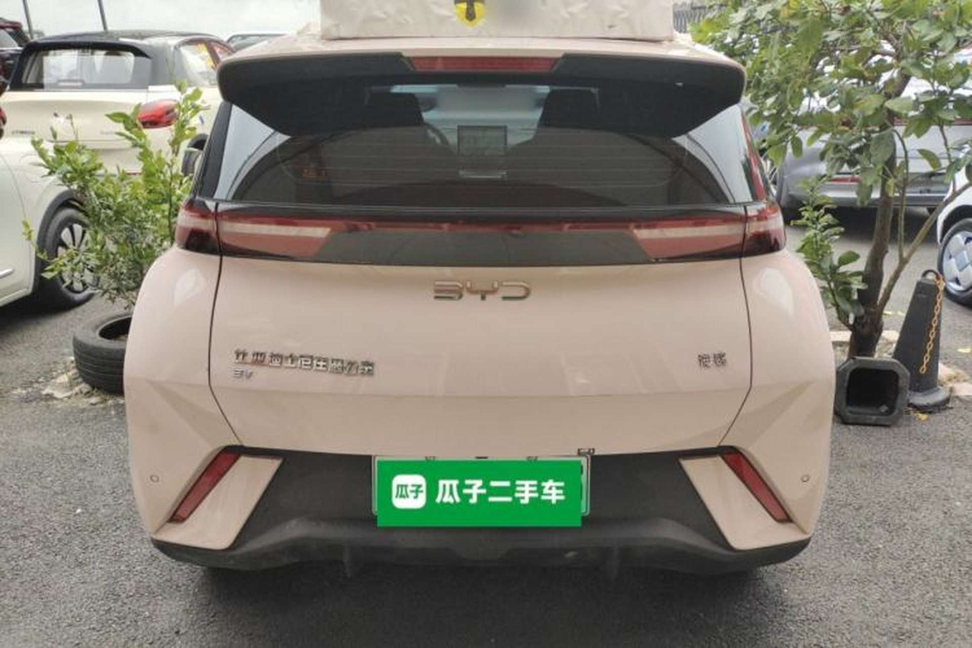 Used BYD Seagull 2025 305 km Free Version Rear