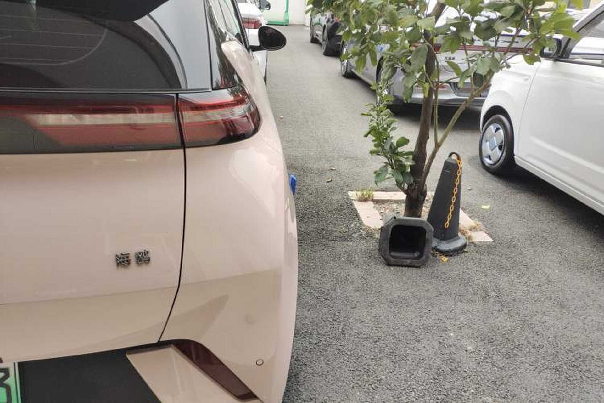 Used BYD Seagull 2025 305 km Free Version Right Rear Taillight