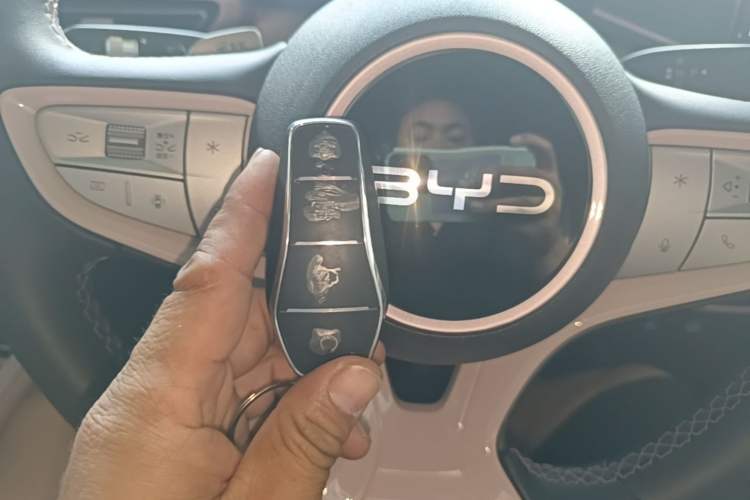 Used BYD Seagull 2025 Smart Drive Version 305 km Freedom Edition Vehicle Key