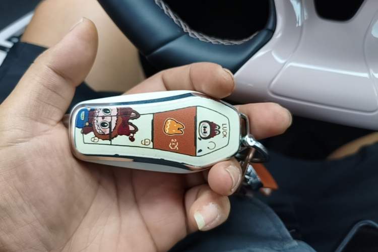 Used BYD Seagull 2025 Smart Drive Version 305 km Freedom Edition Vehicle Key