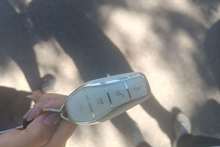 Used BYD Seagull 2025 Intelligent Driving Version 305 km Dynamic Edition Vehicle Key