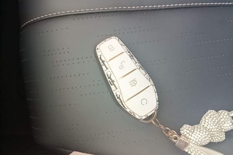 Used BYD Seagull 2025 305 km Free Version Vehicle Key