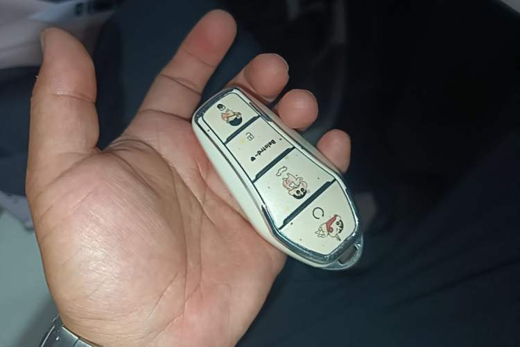 Used BYD Seagull 2025 Intelligent Driving Version 305 km Dynamic Edition Vehicle Key