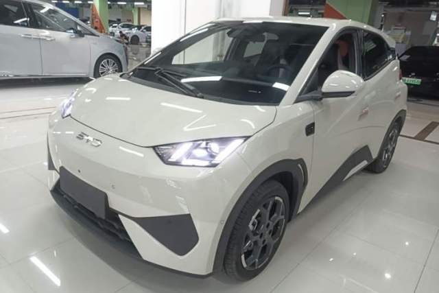 Used BYD Seagull 2025 Smart Drive Version 305 km Freedom Edition