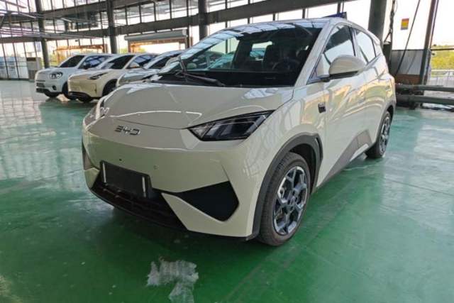 Used BYD Seagull 2025 Smart Drive Version 305 km Freedom Edition