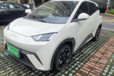 Used BYD Seagull 2025 305 km Free Version