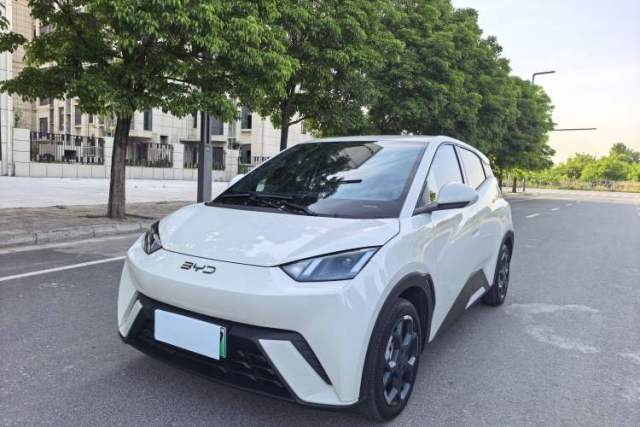 Used BYD Seagull 2025 305 km Free Version