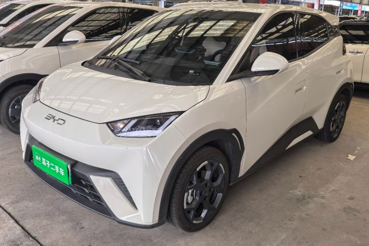 BYD Seagull 2025 305 km Free Version