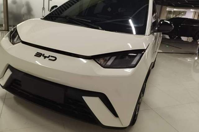 Used BYD Seagull 2025 305 km Free Version