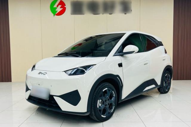 Used BYD Seagull 2025 Smart Drive Version 305 km Freedom Edition